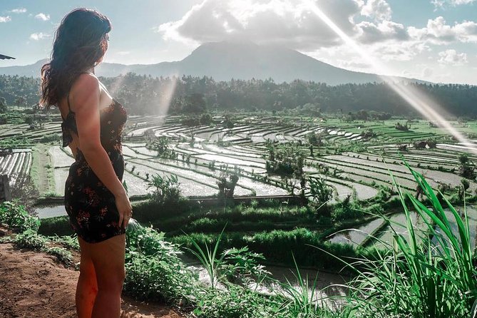 Private Full Day Tour: Best UNESCO Sites in Bali - Price and value around $61.54 per person