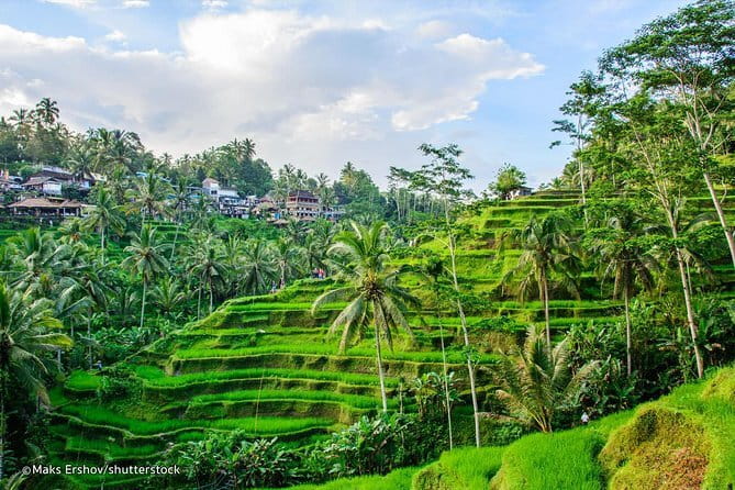 Private Guided Bali Car Charter - Waterfalls and the photo moments: Tegenungan, Tukad Cepung, Tibumana