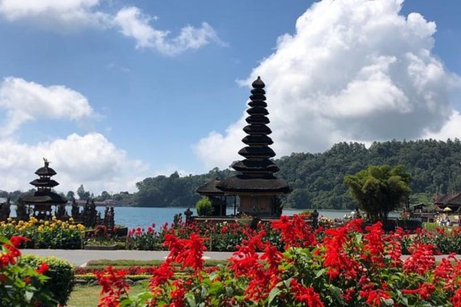 Private Jatiluwih Rice Terraces Heritage Site and Culture Tour - Comfort and the guide factor: what Dewa Alit adds