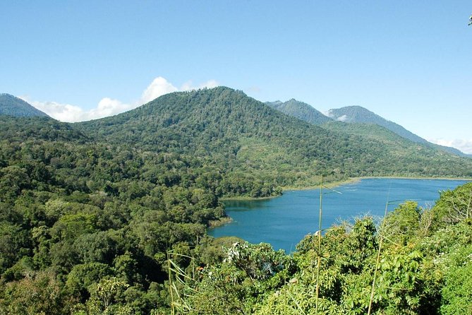Private Jatiluwih Rice Terraces Heritage Site and Culture Tour - Starting in Ubud at 9:00 am, then letting the day unfold