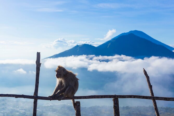 Private Mount Batur Sunrise Trekking Tour - Guides Make It: Names to Remember, Traits to Look For