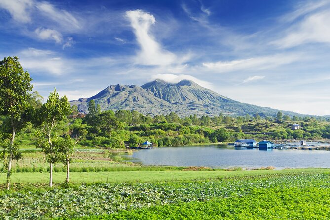 Private Tour: Bali Volcano with Jungle Swing Experience - dAlas Swing: the Bali Swing that’s all about height and valley views