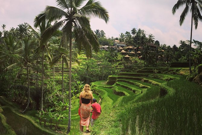 Private Tour: Balinese Culture and Scenery (visit ubud area) - A private Ubud day that’s packed, but not frantic