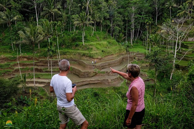 Private Tour: Balinese Culture and Scenery (visit ubud area) - Ubud arts at a coffee plantation and a Balinese house compound