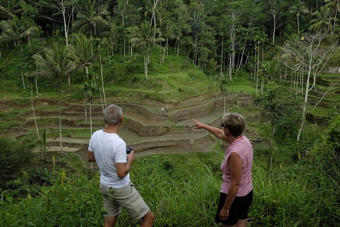 Private Tour: Balinese Culture and Scenery (visit ubud area) - Price and logistics: is $65 a good deal?