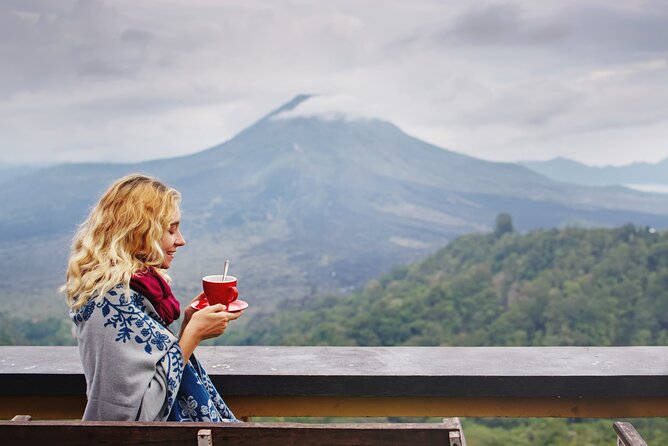 Private Tour: Best of Bali - All Inclusive Tickets - What this Best of Bali day trip really delivers