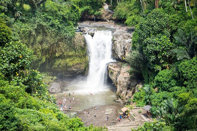 Private Tour: Best of Bali - All Inclusive Tickets - Coffee plantation stop: a satisfying break in the middle of the day