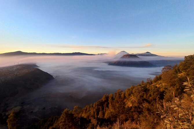 Private Tour : Bromo Ijen Tour From Bali - The Bromo village stay: basic comfort, scenic value, and what to expect