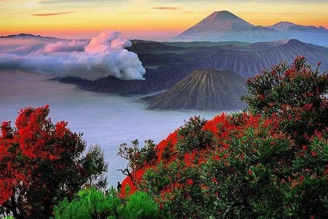Private Tour : Bromo Ijen Tour From Bali - Mount Bromo on day three: Penanjakan sunrise and the crater hike plan