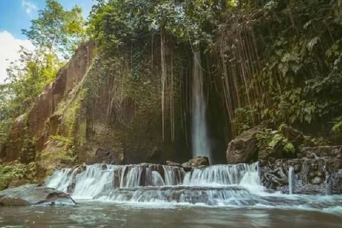 Private Tour to Sumampan Waterfall, Monkey forest, Rice terraces and Swing - The Real Value: A Private Day That Actually Feels Organized
