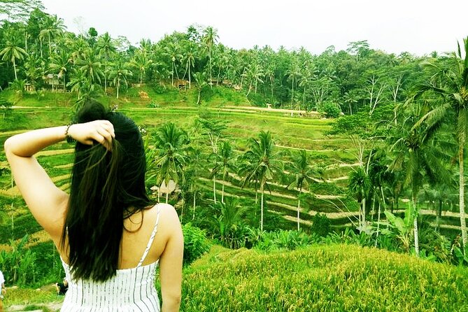 Private Tour to Sumampan Waterfall, Monkey forest, Rice terraces and Swing - Sacred Monkey Forest Sanctuary: Seeing Grey Long-Tailed Macaques Up Close