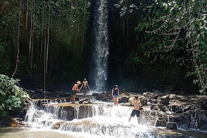 Private Tour to Sumampan Waterfall, Monkey forest, Rice terraces and Swing - Ubud Art Market: Souvenirs Without Losing Half Your Day
