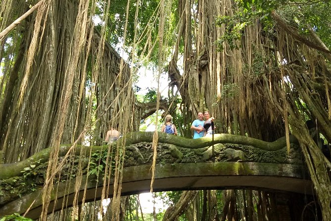 Private Tour to Sumampan Waterfall, Monkey forest, Rice terraces and Swing - Sumampan Waterfall: Majestic Views in a Village Setting