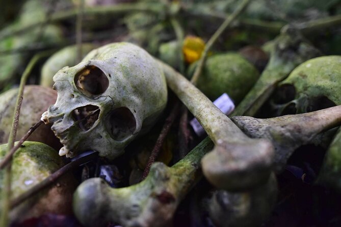 Private Tour to Trunyan Village "Skull Island of Bali" - From Ubud to the Countryside: The Real-World Logistics