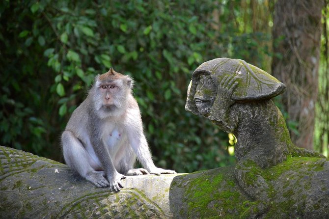 Private Tour: Ubud Day Tour with Traditional Offering Lesson - Should You Book This Tour or Pick Another Ubud Day?