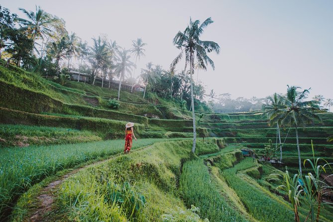 Private Tour: Ubud Highlights - Lunch at D Alas Warung: a jungle-view break