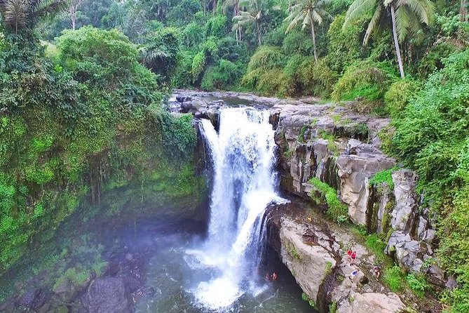 Private Ubud and Volcano Day Trip - The morning start: pickup, timing, and how the day stays on track