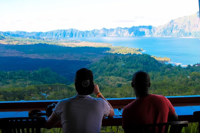 Private Ubud and Volcano Day Trip - Comfort and flexibility: what a good driver changes