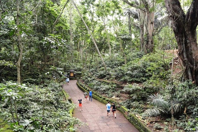Private Ubud Day Tour - A smart 8 to 9 hour loop through Ubud’s greatest hits