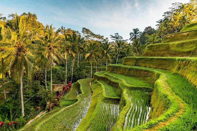 Private Ubud Day Tour - Tegenungan Waterfall: swim potential, mist, and wet-foot planning