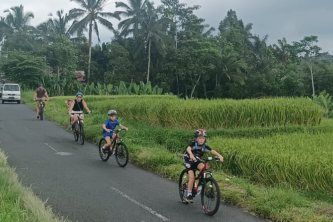 Private Ubud Downhill Cycling with Volcano, Rice Paddies & Meal - Lunch back in Ubud: Balinese food, options, and a sweet finish