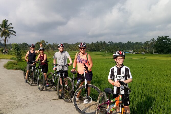 Private Ubud Downhill Cycling with Volcano, Rice Paddies & Meal - Why the guide matters more than the bike