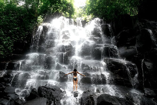 Private Ubud Instagrammable Tour - All Inclusive - Pickup, Private Pace, and the Driver Factor