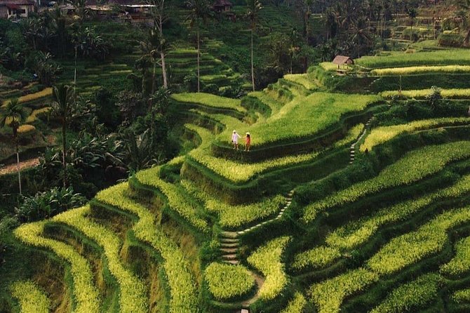 Private Ubud Tour - Key highlights worth your time