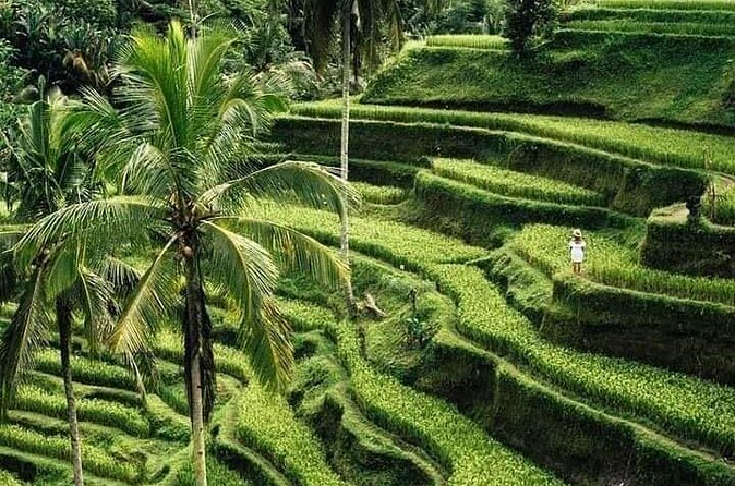 Private Ubud Tour - Stop 4: Tirta Empul Temple and the sarong included detail