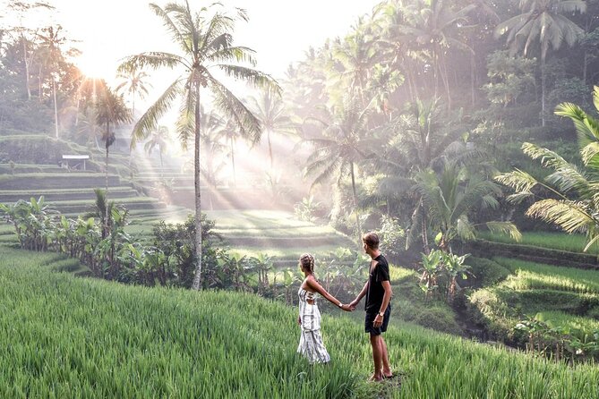 Private Ubud Tour: Monkey Forest, Waterfall & Rice Terrace - Monkey Forest: How to Enjoy the Jungle Without Getting Into Trouble