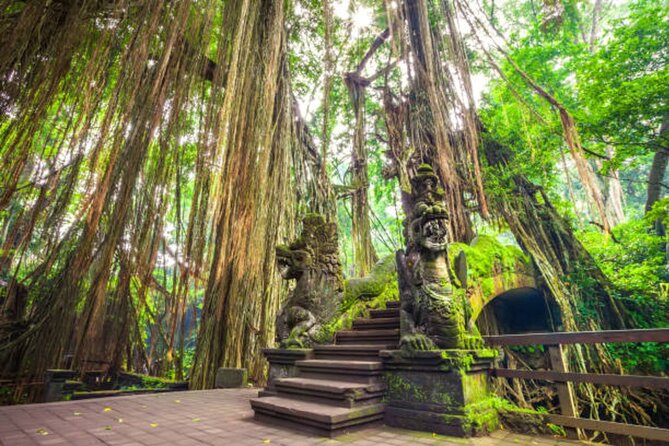 Private Ubud Tour: Monkey Forest, Waterfall & Rice Terrace - Tegenungan Waterfall: Stairs, Photos, and Staying Comfortable