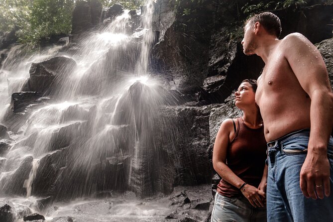 Private Ubud Tour: Waterfall, Rice Terrace & Monkey Forest - Getting to Ubud Highlights: Private Pickup and a Smooth 8-Hour Pace