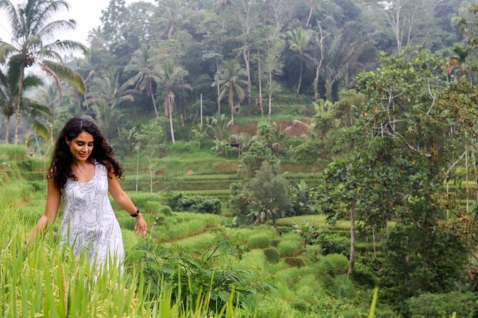 Private Ubud Tour: Waterfall, Rice Terrace & Monkey Forest - Stop 4: Sacred Monkey Forest Sanctuary, Fun Wildlife Time With Real Energy