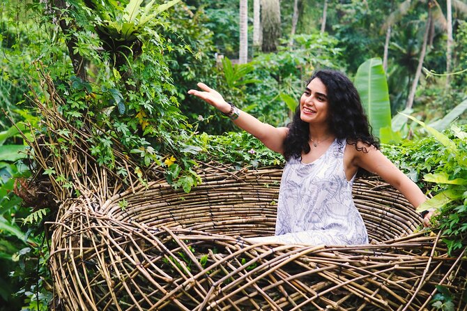 Private Ubud Tour: Waterfall, Rice Terrace & Monkey Forest - Photography, Lunch Breaks, and How the Day Stays Comfortable