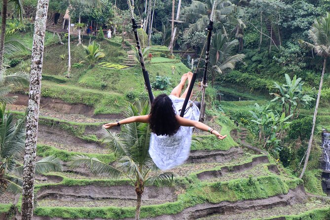 Private Ubud Tour: Waterfall, Rice Terrace & Monkey Forest - Who This Ubud Tour Fits Best (and When to Skip It)