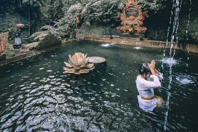Purification Ceremony, Kehen Temple and Goa Raja Waterfall Tour - The Private Car Experience, From Pickup to Drop Off