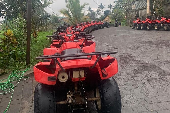 Quadbike Adventure with Tunnel and Waterfall Tour in Bali - The Tunnel Moment and the Waterfall Stop