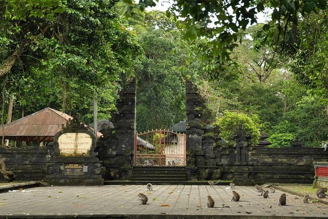 Royal Family Temple, Monkey Forest, and Tanah Lot Sunset Tour - Who This Tour Is Best For in Real Life