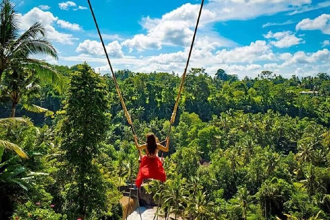 Sacred Spring Experience - Ubud Tour - Sacred Monkey Forest Sanctuary: the guided walk with dragon bridge energy