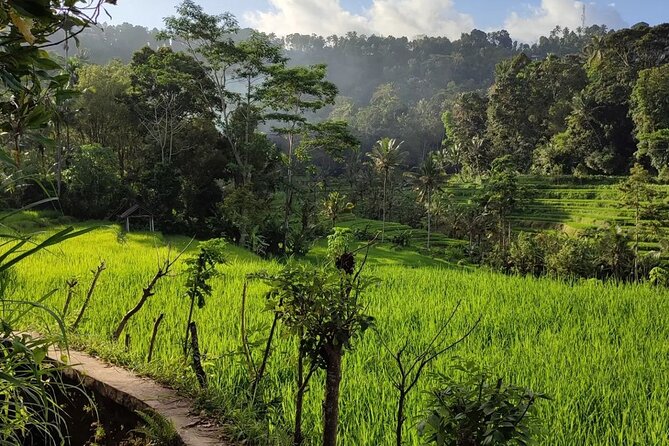 Sidemen Trekking: A Walk from a Different Perspective - Terrain reality check: easy walk, still watch your step