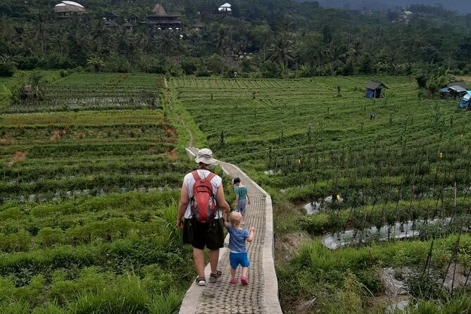 Sidemen Trekking Through Rice Terraces and Villages - Key highlights