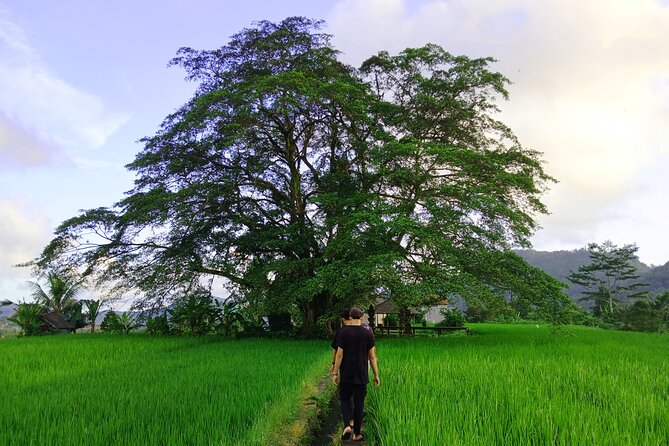 Sidemen Trekking with Cultural Encounters and Nature Views - Key Points That Make This Sidemen Trek Worth Your Time