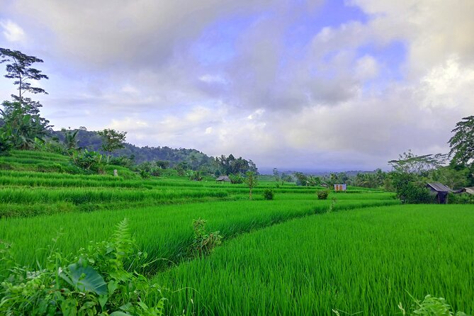 Sidemen Trekking with Cultural Encounters and Nature Views - Lepusa Sidemen Trekking, Where the Trail Becomes the Story