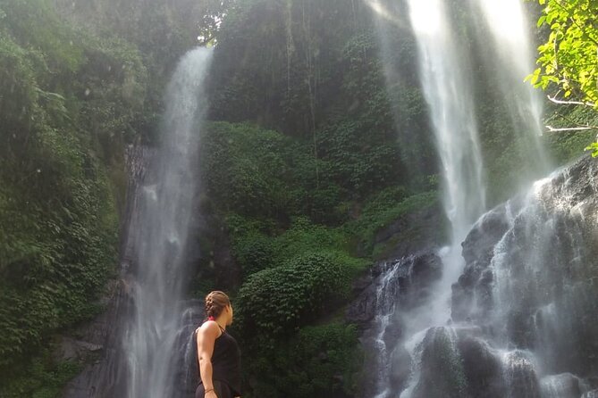 Small-Group Sekumpul Waterfall Jungle Trek with Lunch - Sekumpul Waterfall: the seven-cascade payoff