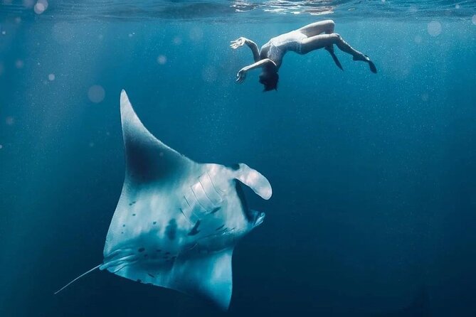 Snorkeling 4 Spots, Manta Rays, Tembeling Pool & Kelingking Beach - From Bali pickup to Sanur: why the early start matters