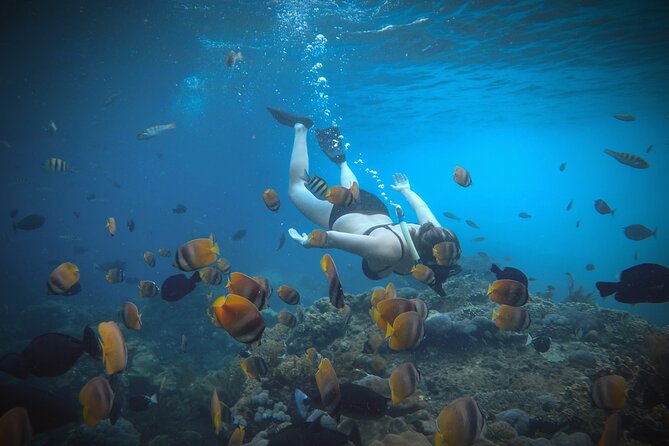 Snorkeling 4 Spots, Manta Rays, Tembeling Pool & Kelingking Beach - Kelingking Beach: the world-famous viewpoint and the crowd factor