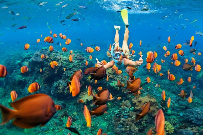 Snorkeling at Blue Lagoon Bali with Lunch and Transport - Key points I’d plan around