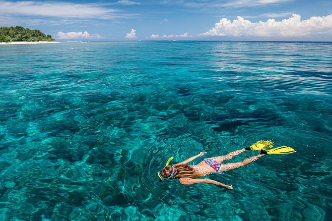Snorkeling at Blue Lagoon Bali with Lunch and Transport - What you might see: fish, reef life, and the sea turtles question