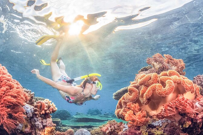 Snorkeling at Blue Lagoon Bali with Lunch and Transport - The 6-hour flow: pickup, boat transfers, and two snorkeling spots