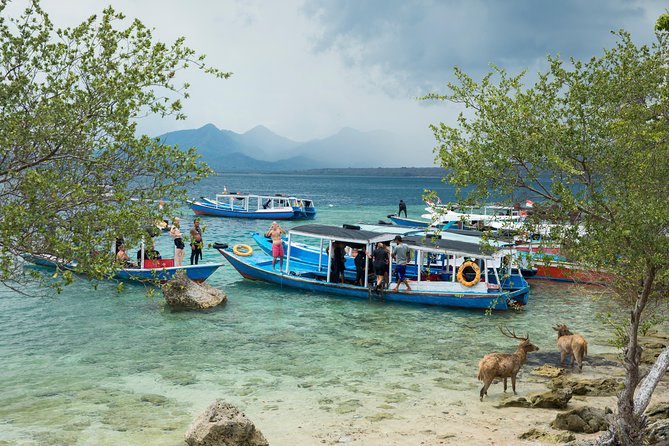 Snorkeling & Trekking at West Bali National Park - From Ubud Pickup to the Banyuwedang Pier
